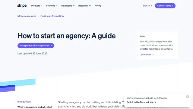 The Stripe's agency pricing options resource page.